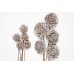 SOLA GERBERA FLOWER 4" White Wash- OUT OF STOCK